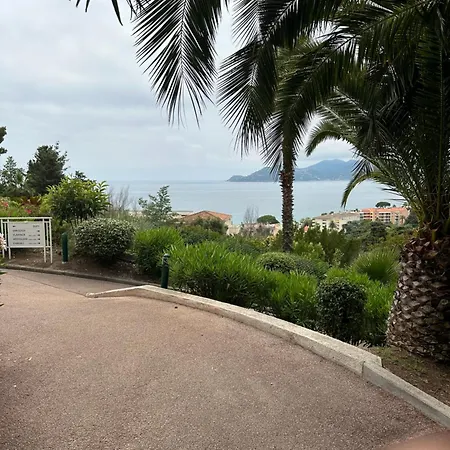 Villa Francia Residence Piscine Tennis A 500M Des Plages De Cannes Exterior photo