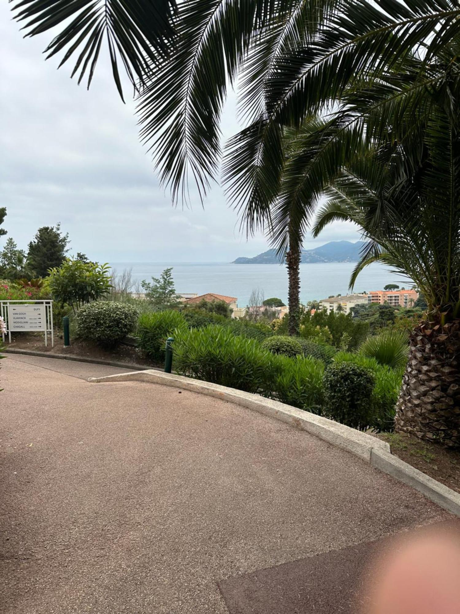 Appartement Francia Piscine Tennis A 500m Des Plages De Cannes